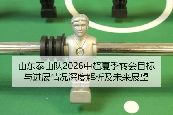 山东泰山队2026中超夏季转会目标与进展情况深度解析及未来展望