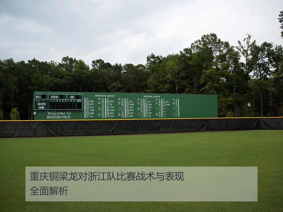 重庆铜梁龙对浙江队比赛战术与表现全面解析